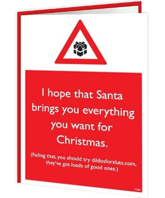 Christmas Warning - I Hope That Santa Brings You Everything - new