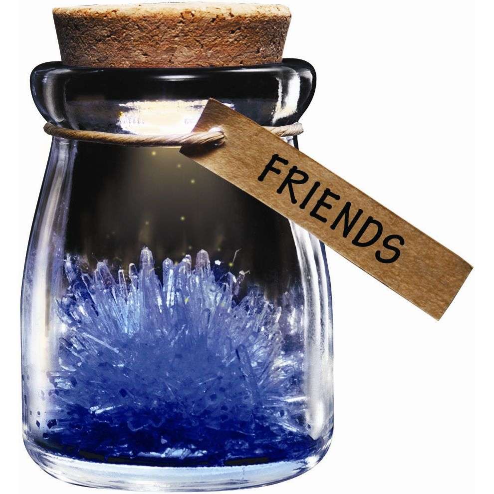 Crystal Wish Flower - Friends - new