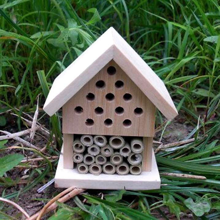 Gifts in a Tin - Build Your Own Insect House - new