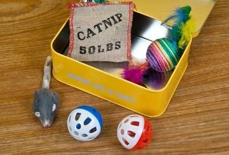 Gifts in a Tin - For Cat Lovers - new