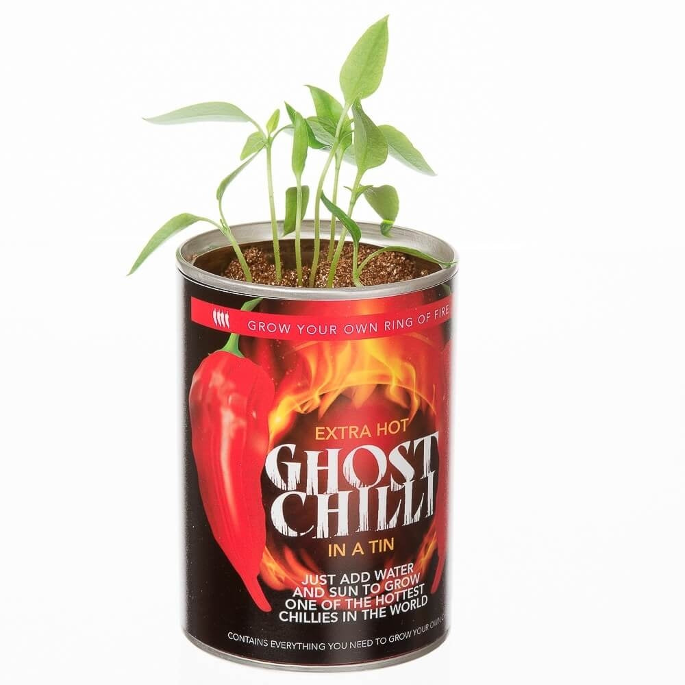 Grow Your Own Ghost Chilli - new