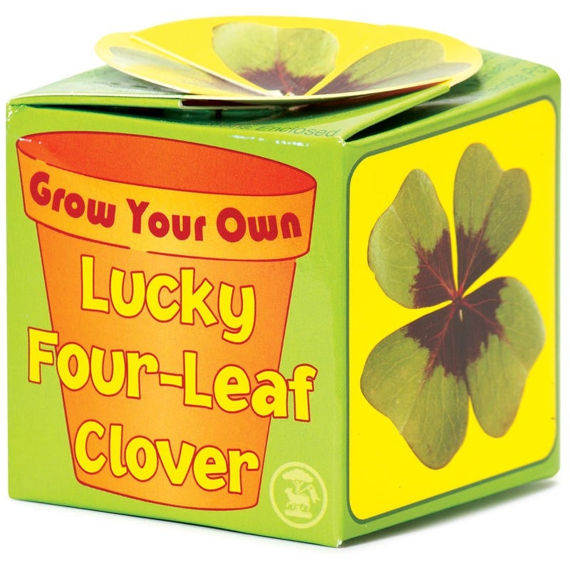 Grow Your Own Good Luck - Four Leaf Clover - new