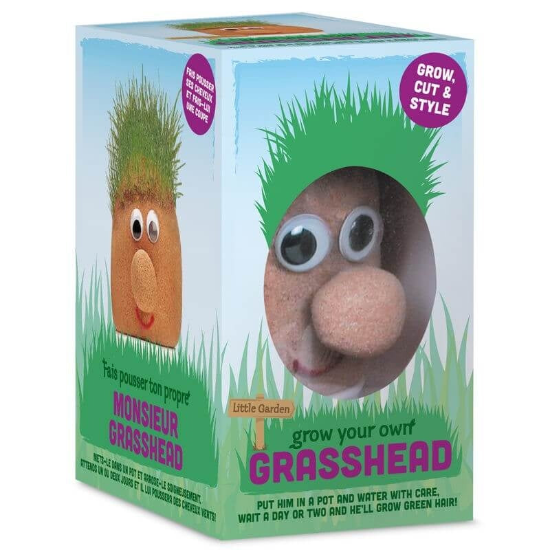 Mr Grasshead - new