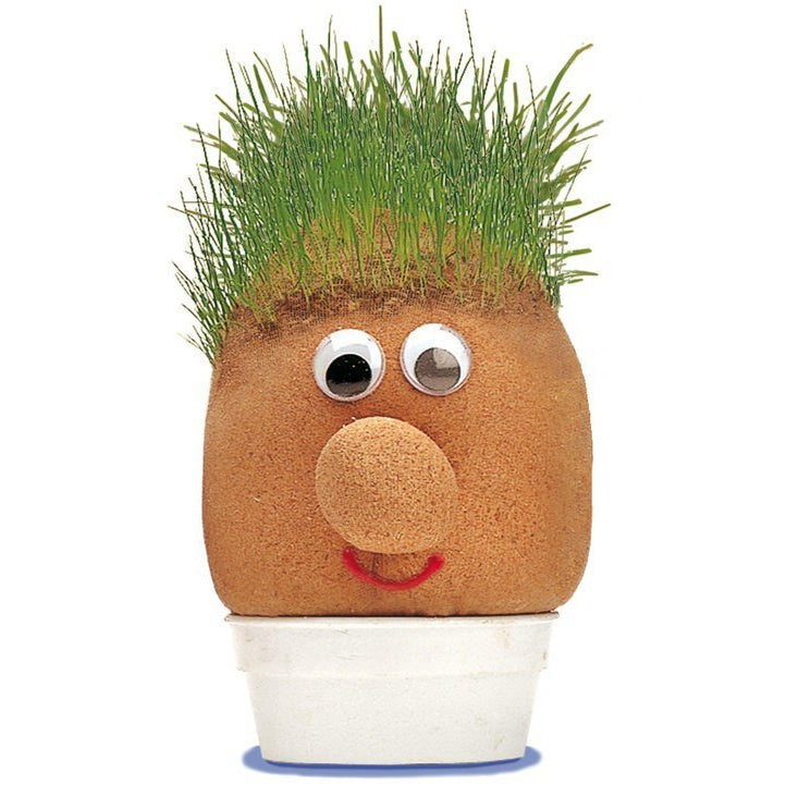 Mr Grasshead - new