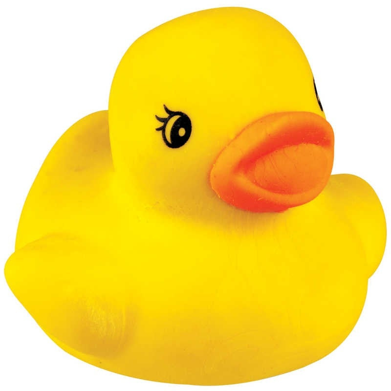 The Rubber Duck - new