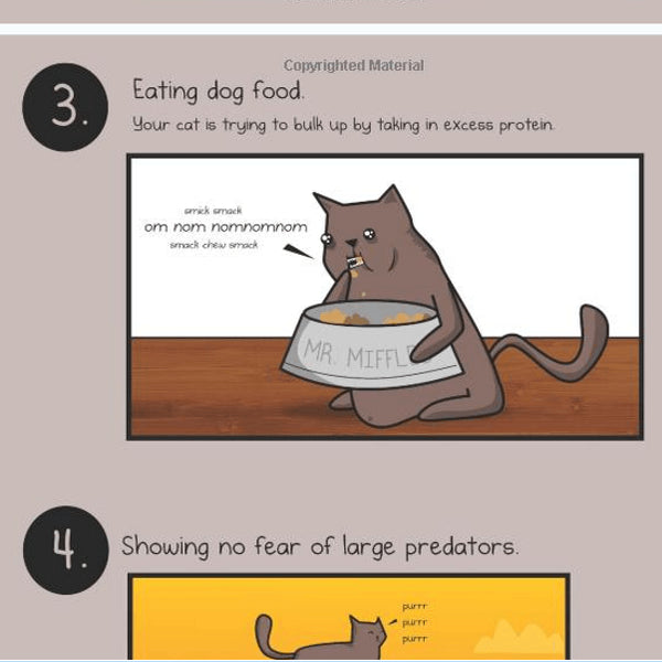 How To Tell If Your Cat Is Plotting Kill You - new