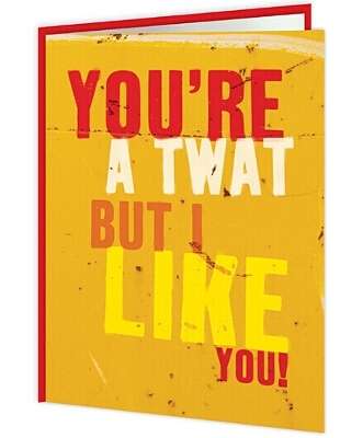 Word Up! - You’re a Twat But I Like You - new